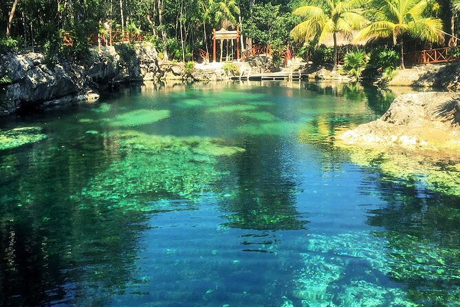 Cenotes Casa Tortuga: 4 Cenotes Day Pass - Cenote Exploration: Open and Semi-Open Swimming Stops