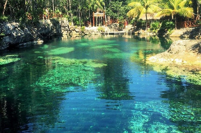 Cenotes Casa Tortuga: 4 Cenotes Day Pass - Food, Towels, Lockers, and the Small Fees That Pop Up