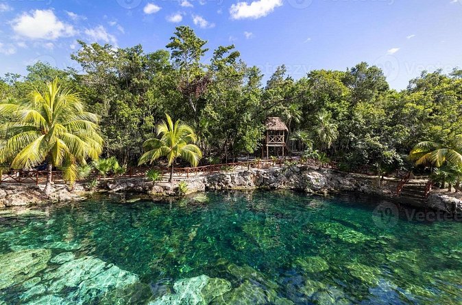 Cenotes Casa Tortuga: 4 Cenotes Day Pass - Photo Packages: Optional, Negotiable, and Easy to Skip