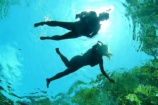 Cenotes Private Tour VIP - VIP Private Tour Timing and Pickup From Cancun to Tulum