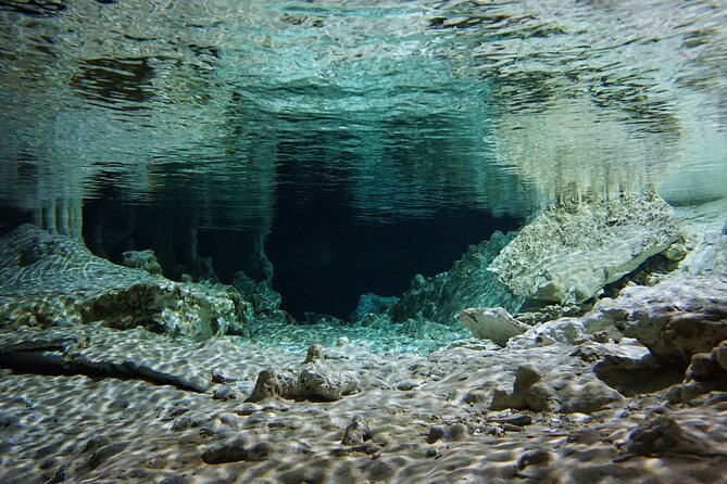 Cenotes Private Tour VIP - Who This Cenote VIP Tour Is Best For