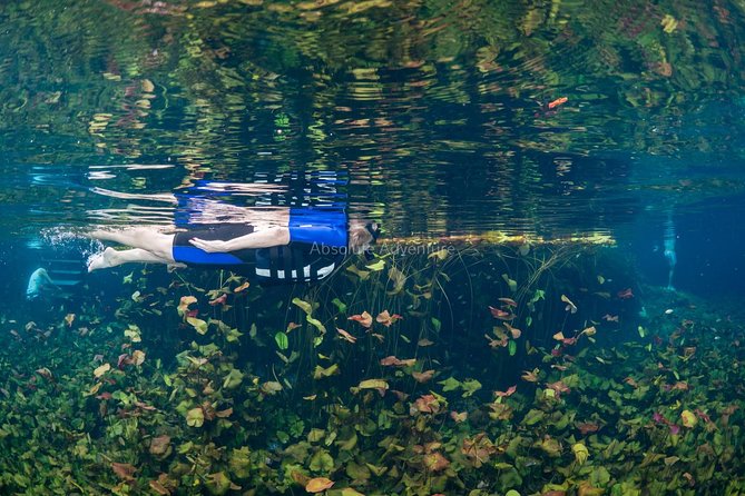 Cenotes Taak Bi Ha & Nicte Ha – VIP Snorkeling Private Tour - What makes this tour feel worth $176 per person