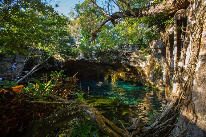 Cenotes trail jungle bike tour in Tulum with lunch - Jungle biking in Tulum: why this tour feels different