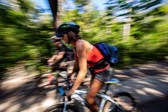 Cenotes trail jungle bike tour in Tulum with lunch - Cenote Cristal: jumping and diving time