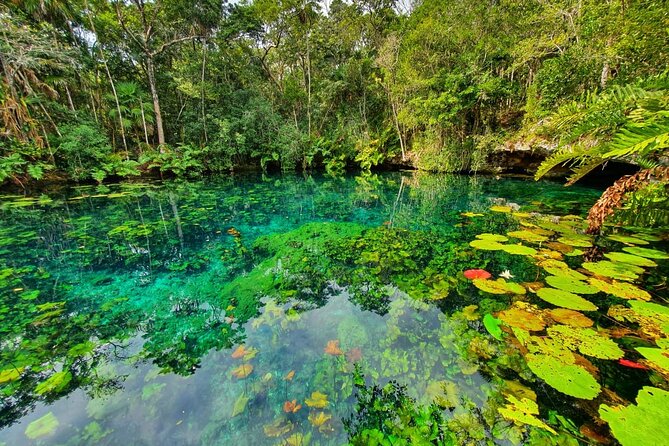 Cenotes trail jungle bike tour in Tulum with lunch - Cenote Escondido: snorkeling that’s about visibility