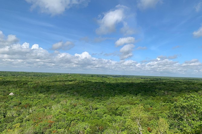 Coba Ruins and Punta Laguna Monkey Reserve Day Tour from Tulum - Zipline Over Tropical Scenery: Fast Adrenaline, Clear Sightlines