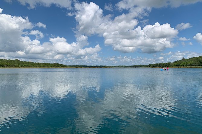 Coba Ruins and Punta Laguna Monkey Reserve Day Tour from Tulum - Biking Around Coba and Climbing Nohoch Mul for Real Views