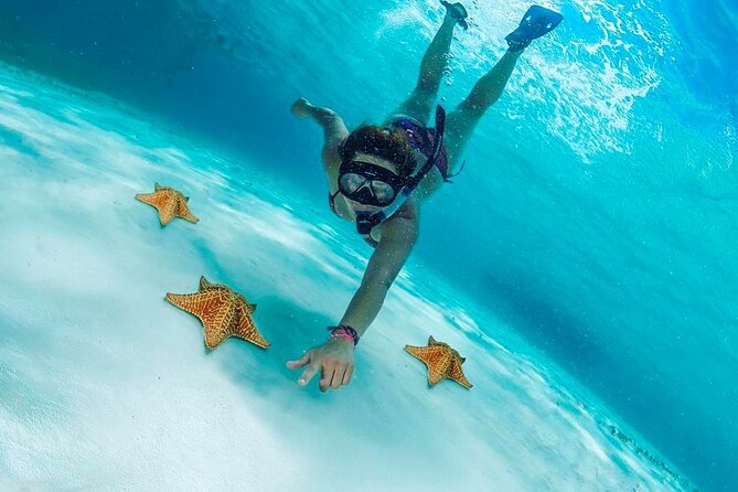Cozumel Snorkel at El Cielo & 2 Reefs! Transportation from Tulum - Tulum to Cozumel: the long day starts early, but you don’t have to plan it
