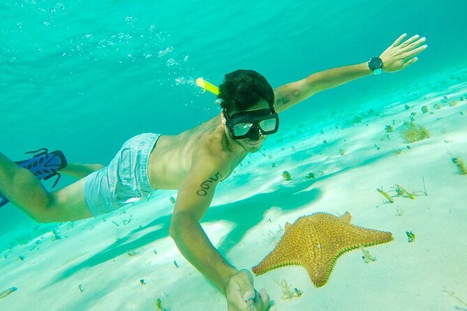 Cozumel Snorkel at El Cielo & 2 Reefs! Transportation from Tulum - The regular motor boat, the ride, and the safety mindset you’ll want