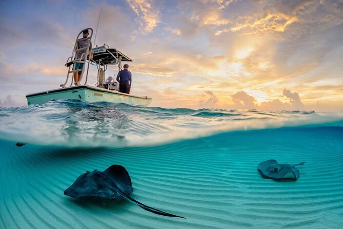 Cozumel Snorkel at El Cielo & 2 Reefs! Transportation from Tulum - Lunch at the restaurant with a pool, plus 2 hours to breathe in Cozumel