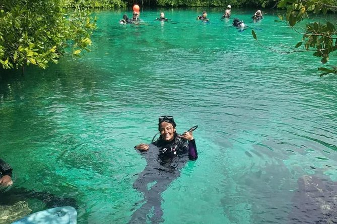 Discover Scuba Diving at Casa Cenote - Key highlights worth planning around