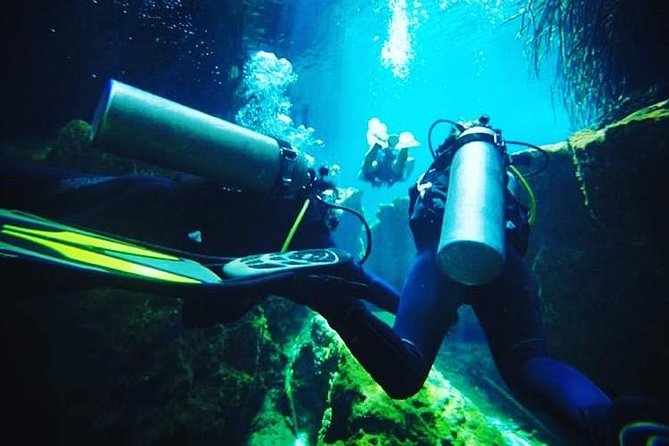 Discover Scuba Diving at Casa Cenote - How the Discover Scuba intro works (no certification, just confidence)