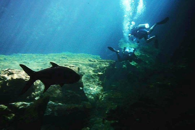 Discover Scuba Diving at Casa Cenote - Equipment and gear check: what to expect and how to prepare