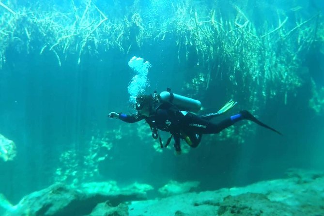 Discover Scuba Diving at Casa Cenote - Pace and timing: a 4-hour plan that doesn’t drag