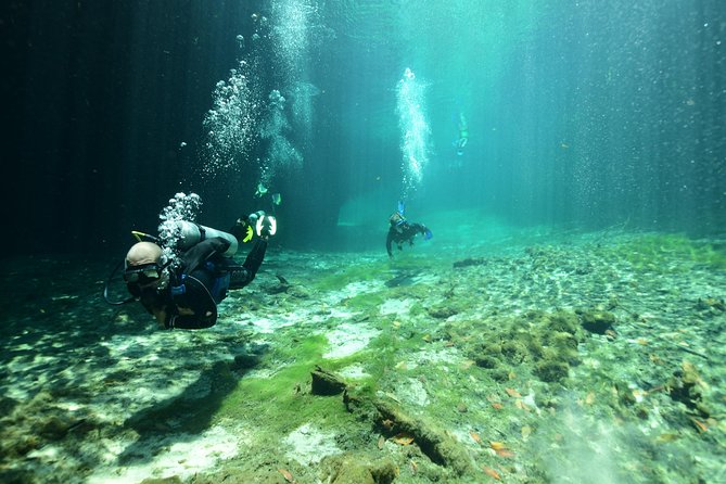Discover Scuba Diving in Tulum - Where you start: Agua Clara Diving in Tulum at 8:30