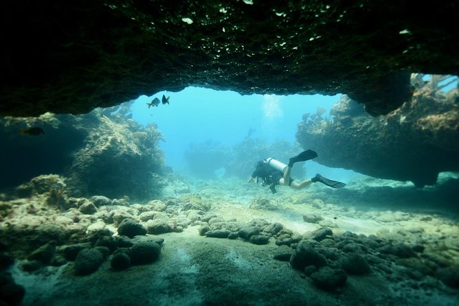 Discover Scuba Diving in Tulum - Getting kitted out: equipment use and practice before the real water