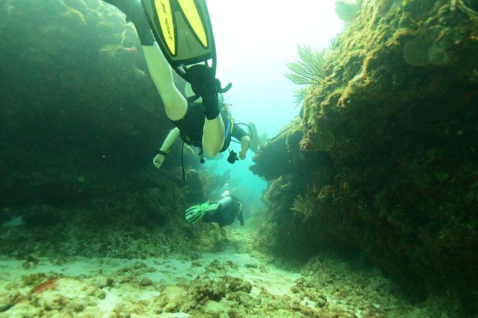 Discover Scuba Diving in Tulum - How the day flows: from theory to skills to underwater time