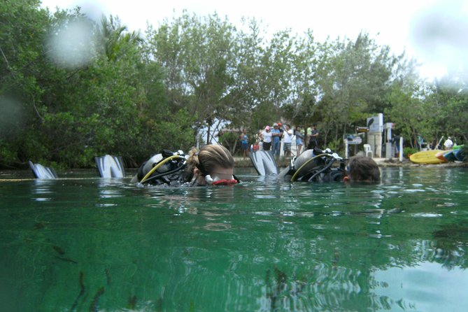 Discover Scuba Diving in Tulum - Price and value: is $140 fair for a first-timer course?