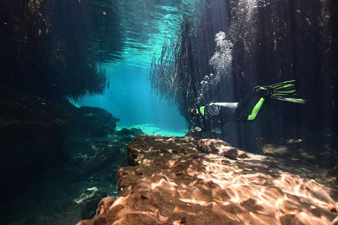 Discover Scuba Diving in Tulum - Logistics that matter: where to be, what to bring, and how to plan
