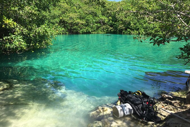 Discovering Breathtaking Cenotes in Tulum - Stop 2: Casa Cenote (Cenote Manati) with Open Air and a Bit of Current