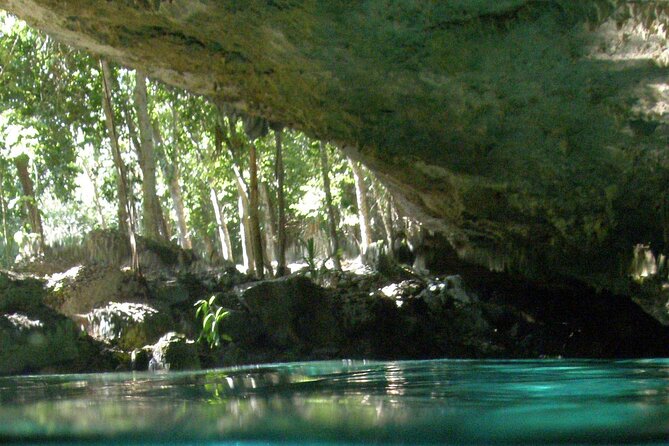 Discovering Breathtaking Cenotes in Tulum - The Most Practical Scheduling Tip: Choose the Calmer Part of the Day