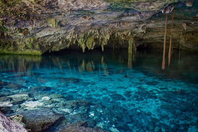 Discovering Breathtaking Cenotes in Tulum - Should You Book This Tulum Cenote Tour?