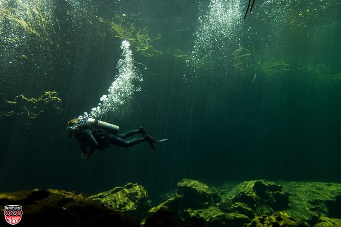 Discovery Scuba Diving - Infinity 2 operation: where to meet and how transport works