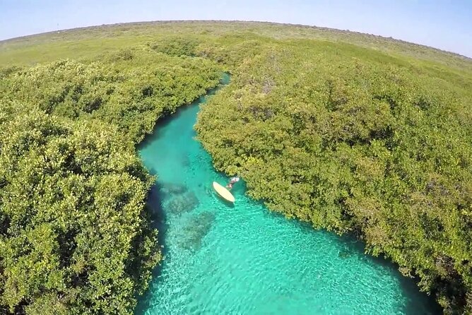 Discovery Scuba Diving - Who should book this (and who should consider alternatives)