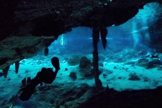 Dos Ojos Cenote Cavern Dive- The Barbie Line and The Bat Cave - Dos Ojos cavern lines: why this feels safer than an extended cave route