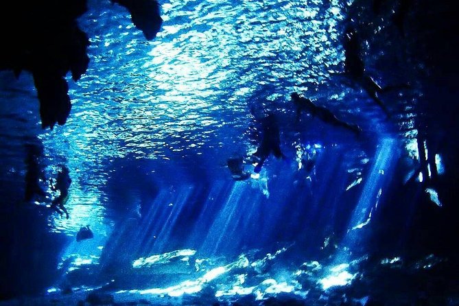 Dos Ojos Cenote Cavern Dive- The Barbie Line and The Bat Cave - Second stop: The Bat Cave line (cool caverns and steady guidance)