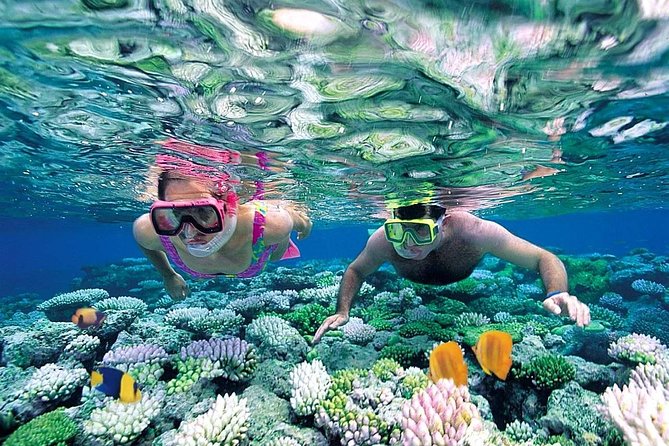 Exclusive Sailing Isla Mujeres. Top tour! - Should you book this Exclusive Sailing Isla Mujeres tour?