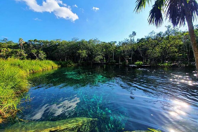 Explore Tulum Tour to Cenote and Ruins - What You Get for $159: Value That’s More Than a Ticket Price