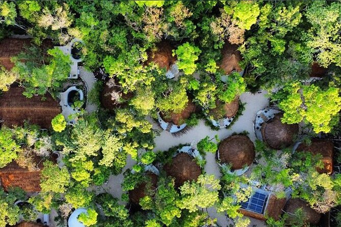 Floating breakfast in The Yellow Nest (near Dos Ojos cenote) - Who Should Book This, and Who Might Skip It