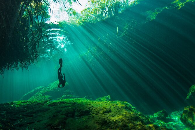 Freediving Intro for Beginners in a Cenote in Tulum Mexico - In the water at Casa Cenote: drills first, then swim practice under mangroves