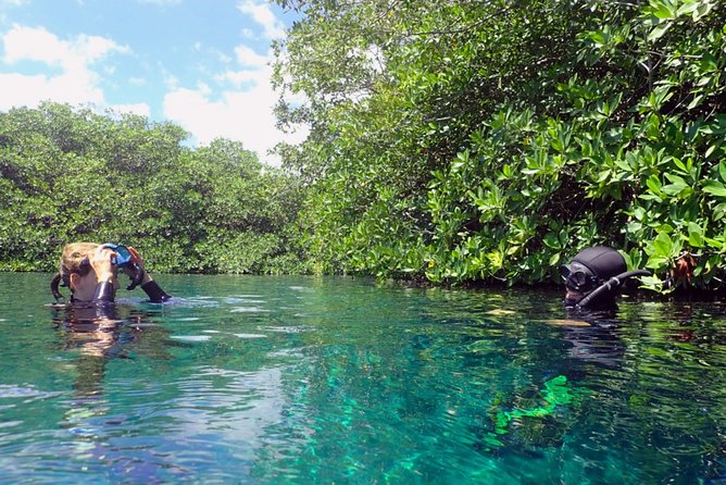 Freediving Intro for Beginners in a Cenote in Tulum Mexico - Gear and comfort checklist (so you don’t lose focus)