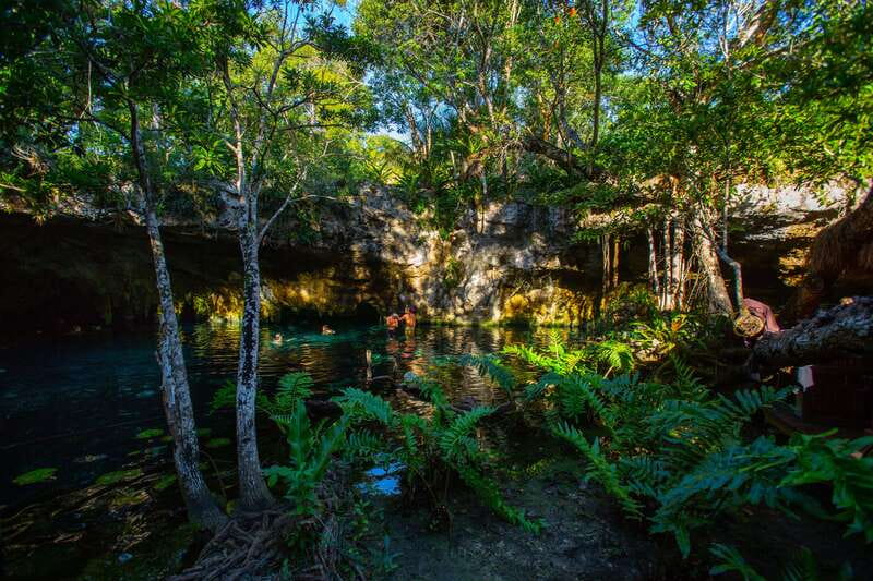 From Riviera Maya: 3 Cenotes Adventure Tour with Lunch - Small Group, Certified Guide, and the Safety Factor