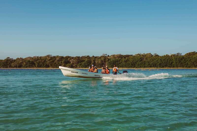 From Riviera Maya: Sian Ka'an Half Day Tour w/ Lunch - Boca Paila lagoon by small boat: mangroves, canals, and wildlife spotting