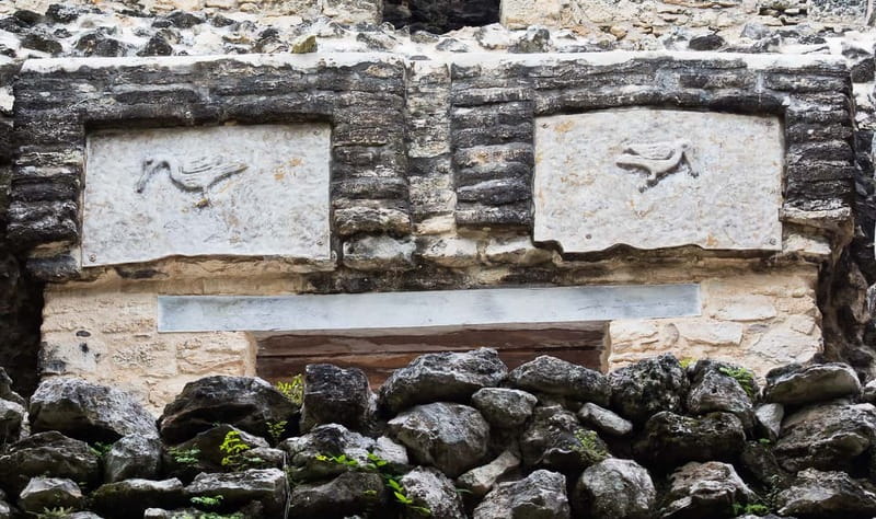 From Riviera Maya : Sian Ka'an Muyil Birdwatching with Guide - What’s included, what’s not, and what you should pack