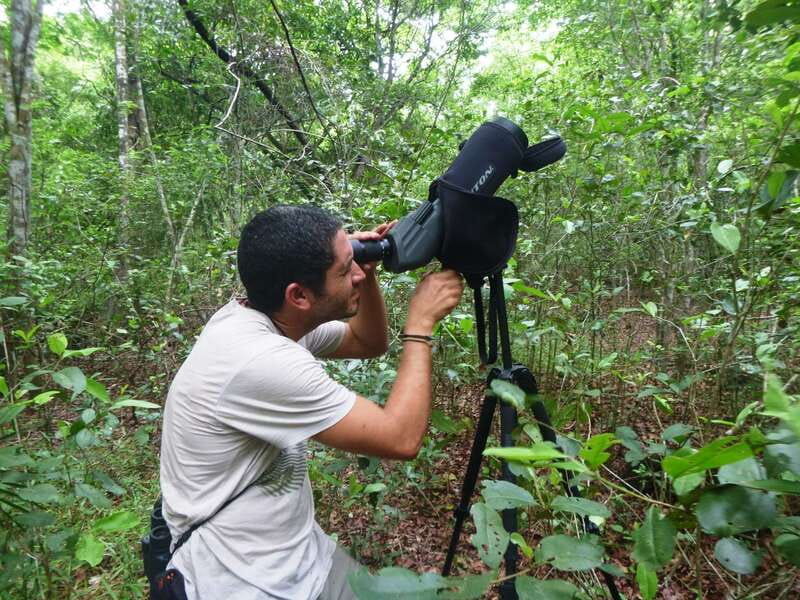 From Riviera Maya : Sian Ka'an Muyil Birdwatching with Guide - The 9:00 AM light breakfast break (fuel without slowing the day)