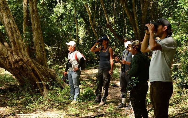 From Riviera Maya : Sian Ka'an Muyil Birdwatching with Guide - Muyil archaeological zone birdwatching at 9:30: ruins plus living wildlife