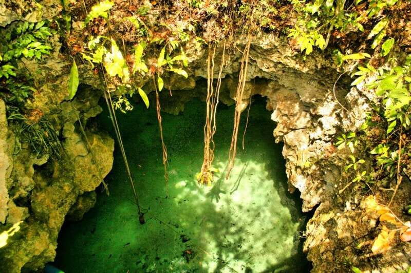 From Riviera Maya: Snorkeling & Private Cenote Half-Day Tour - Key takeaways before you go