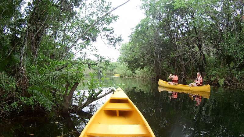 From Tulum: Four-Cenote Adventure - Large Cenote Naval: two long zip lines and a canoe transition