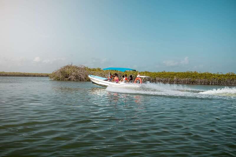 From Tulum: Sian Kaan Boat Trip Adventure with Lunch - What to bring (and what to skip) for a smoother day