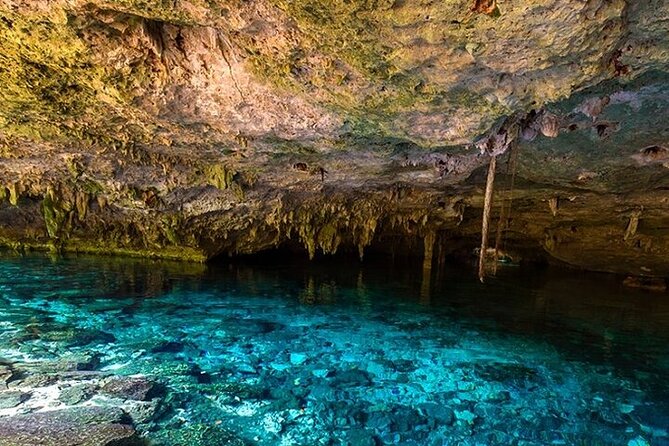 Full Day Adventure: Horses , ATV, Ziplines & Cenote w/Lunch - Horseback Ride: The Gentler Segment (and a Real Expectation Check)