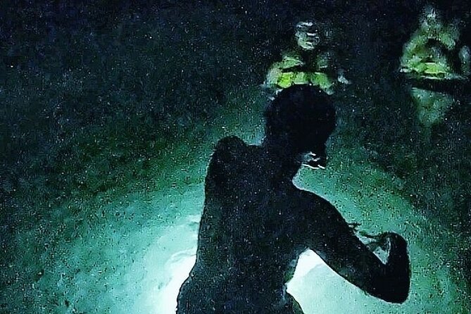 Full Day Adventure: Horses , ATV, Ziplines & Cenote w/Lunch - Cenote Swim with Snorkel Gear: Cooling Off the Right Way