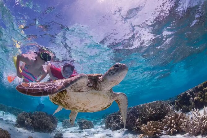 Full-dayTurtle Adventure: ATV, Zipline, Cenote & Turtle Swim - The Underground River Cenote Swim: When the Scenery Turns Quiet