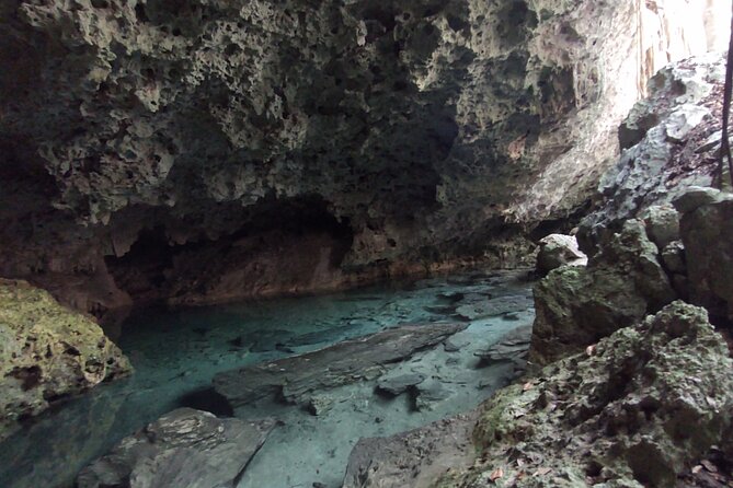 Full-dayTurtle Adventure: ATV, Zipline, Cenote & Turtle Swim - Turtle Swim in a Natural Sanctuary: What to Expect and How to Prepare
