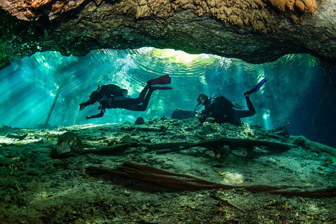 Go for 2 dives in cenote Dos ojos for certified divers - The drive to Dos Ojos: round-trip transport without the stress
