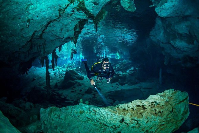 Go for 2 dives in cenote Dos ojos for certified divers - Bat Cave section: tunnels, flashlights, and the wow factor