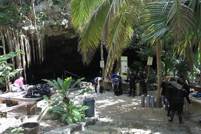 Go for 2 dives in cenote Dos ojos for certified divers - The 4-hour schedule: how it usually feels from start to finish